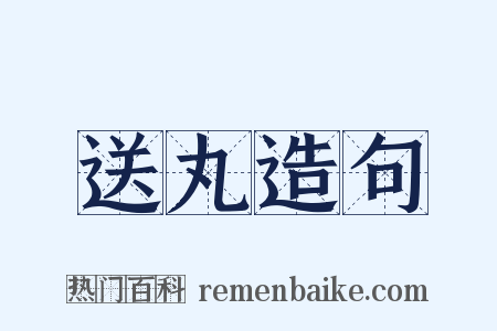 送丸造句是什么意思的图片